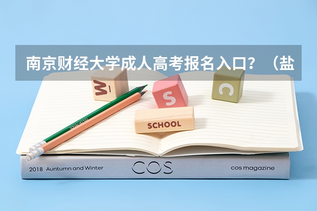 南京财经大学成人高考报名入口？（盐城工学院成人高考报名入口？）