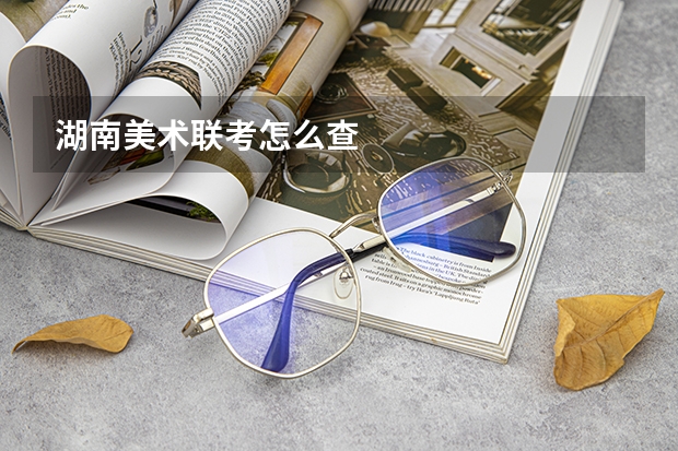 湖南美术联考怎么查