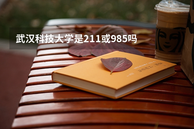 武汉科技大学是211或985吗