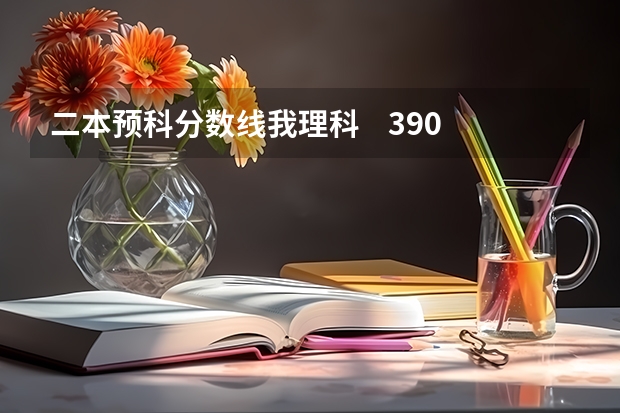 二本预科分数线我理科 390分能被陇东学院录取吗?