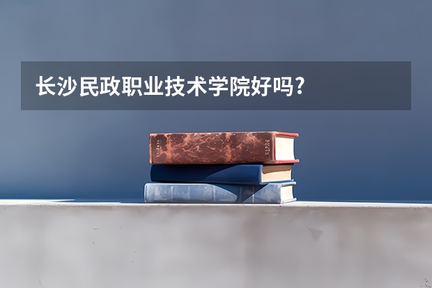 长沙民政职业技术学院好吗?