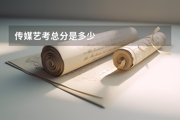 传媒艺考总分是多少