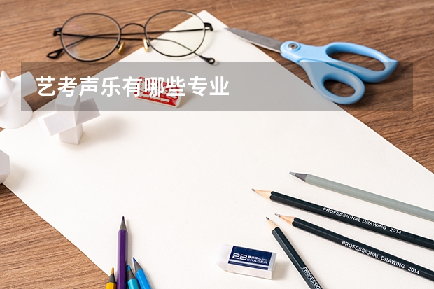 艺考声乐有哪些专业