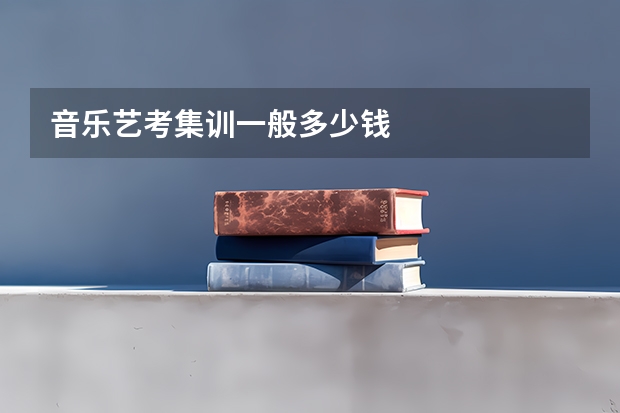 音乐艺考集训一般多少钱