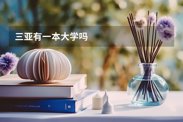 三亚有一本大学吗