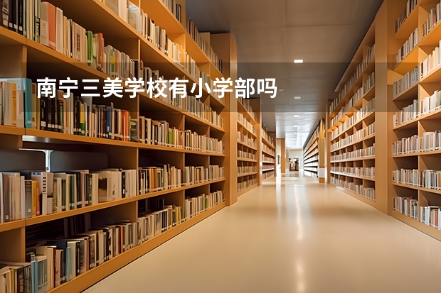 南宁三美学校有小学部吗
