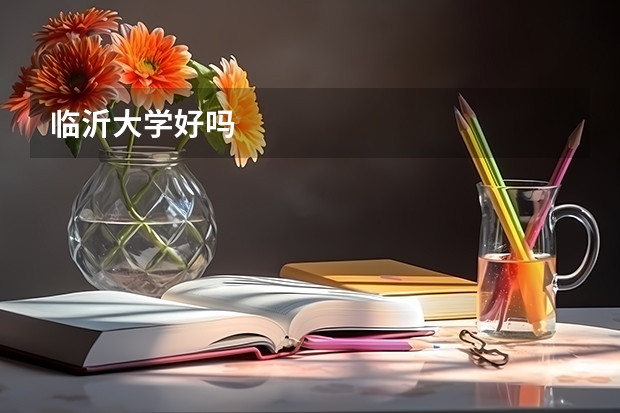 临沂大学好吗