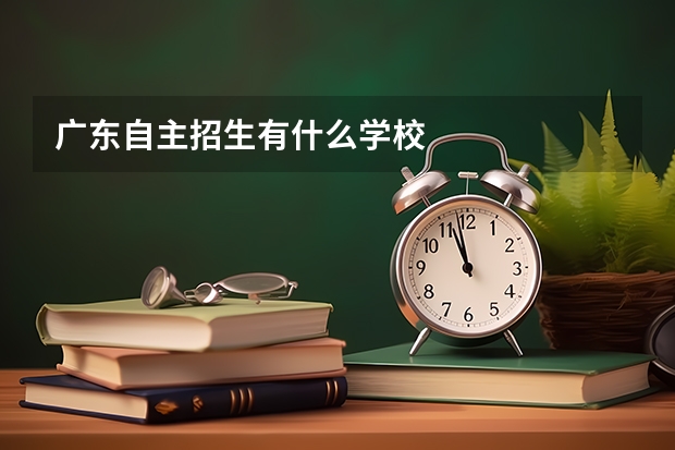 广东自主招生有什么学校