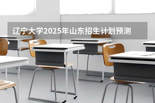 辽宁大学2025年山东招生计划预测