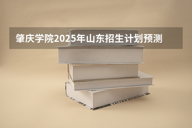 肇庆学院2025年山东招生计划预测