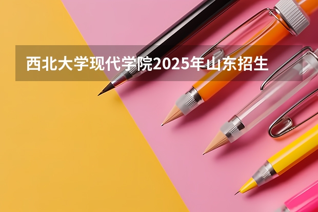 西北大学现代学院2025年山东招生计划预测