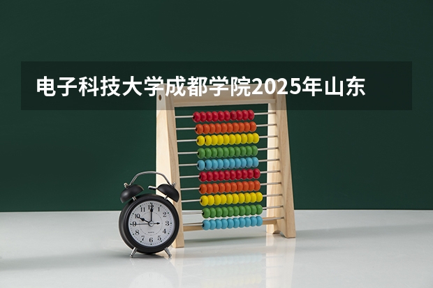 电子科技大学成都学院2025年山东招生计划预测
