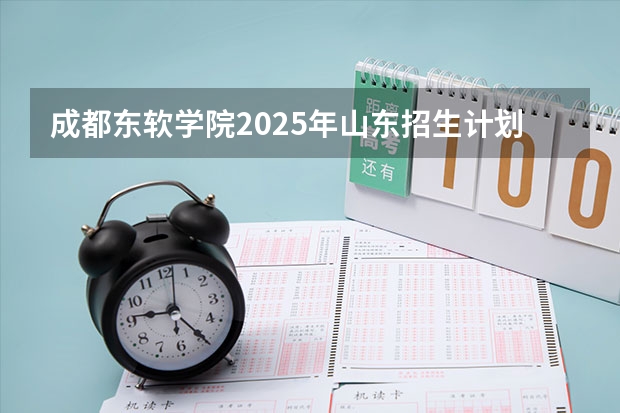 成都东软学院2025年山东招生计划预测