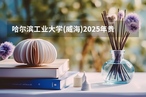 哈尔滨工业大学(威海)2025年贵州招生计划预测