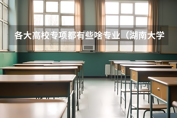 各大高校专项都有些啥专业（湖南大学高校专项计划专业）
