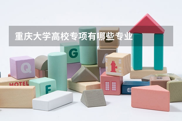 重庆大学高校专项有哪些专业
