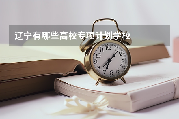 辽宁有哪些高校专项计划学校