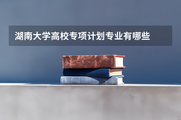 湖南大学高校专项计划专业有哪些
