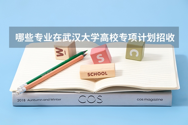 哪些专业在武汉大学高校专项计划招收