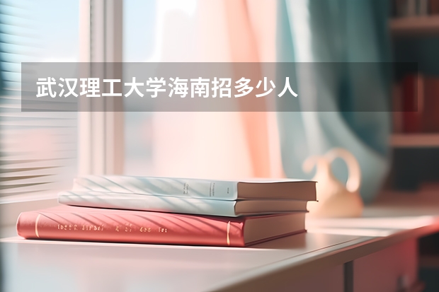 武汉理工大学海南招多少人